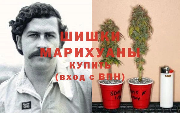 мдма Белокуриха