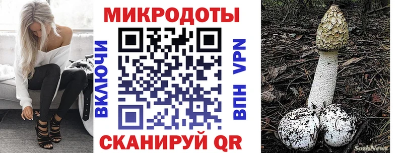 Галлюциногенные грибы GOLDEN TEACHER  кракен рабочий сайт  Губкинский 