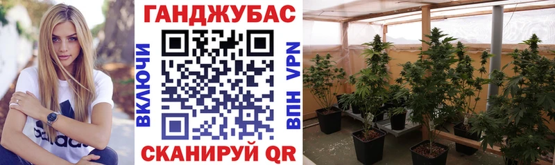 МАРИХУАНА SATIVA & INDICA  что такое наркотик  Губкинский 